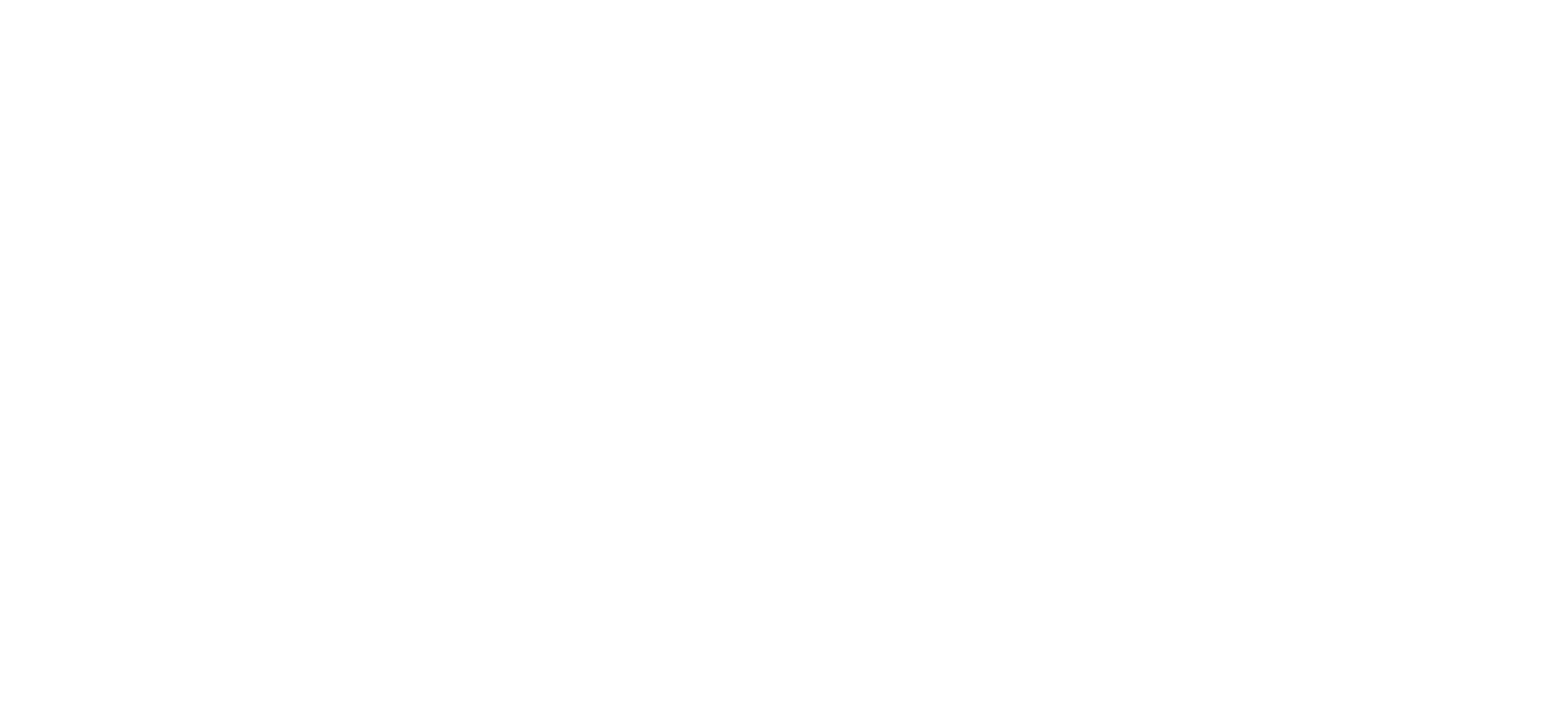 Southampton Smokefreesolutions logo